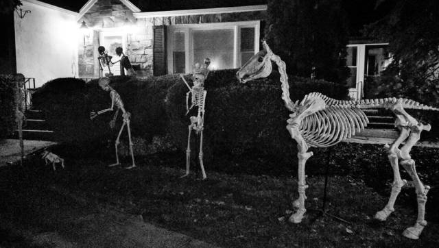 14374407_2120069331551008_1370657895334543360_n