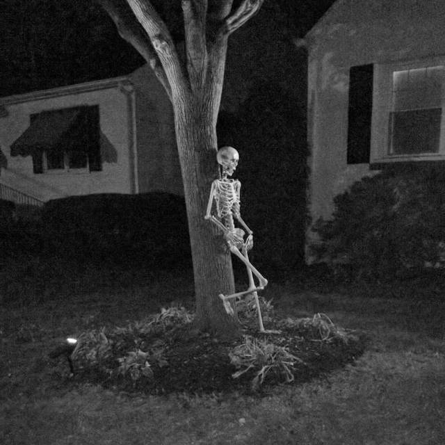 14473960_175308372914023_1917102998106931200_n