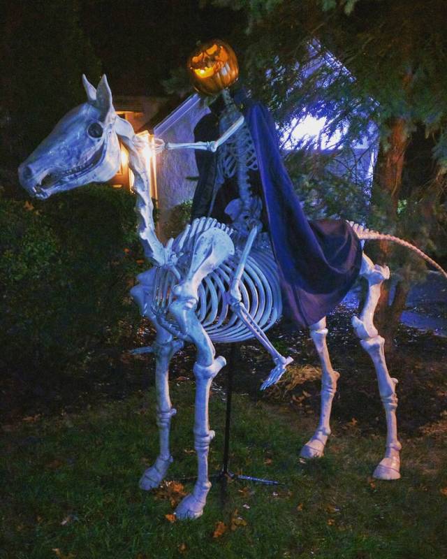 14474122_317725361923445_6876676076110610432_n