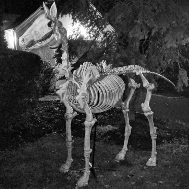 14474270_1750578061862949_3097525242734575616_n