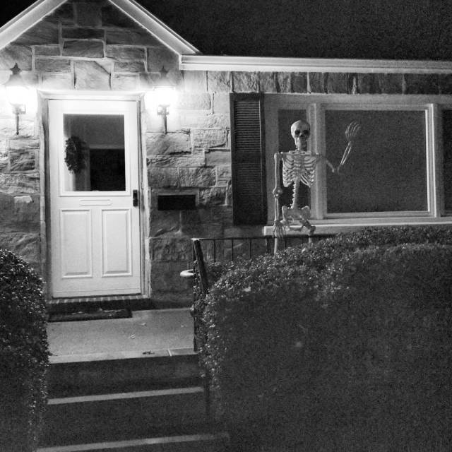 14478389_1794168640794639_8364144106800152576_n