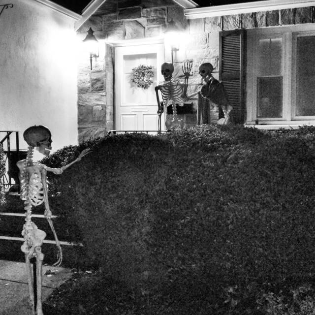 14482809_1191026027620163_7730649109383610368_n