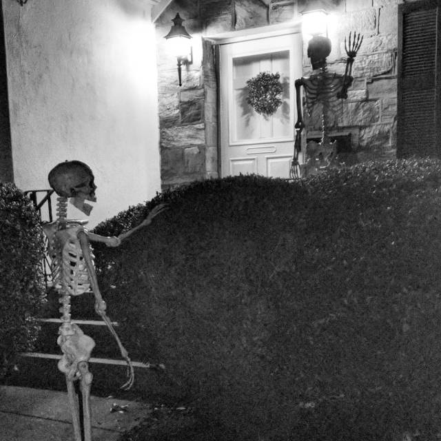 14498940_1061931747257388_40695682712993792_n