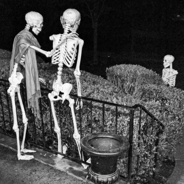 14499118_163909794061219_1175241049484820480_n