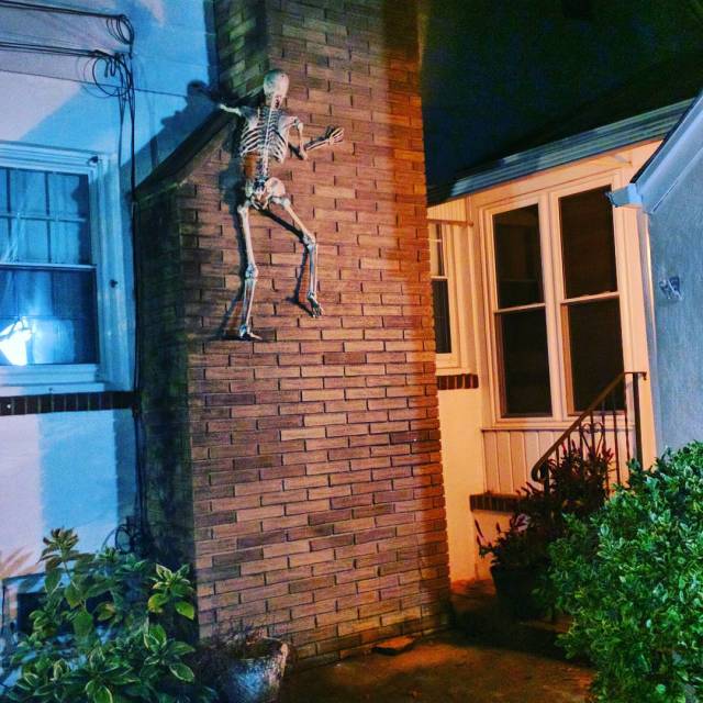 14582367_648196522021393_6276962714464026624_n