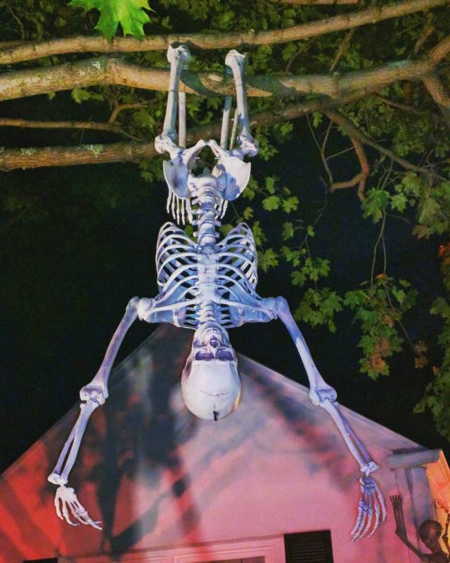 14583396_1708091999411480_4095245488465379328_n