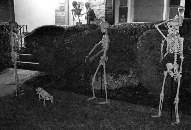 14596807_1243208009063918_8946295738015416320_n