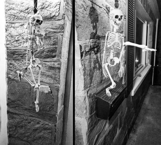 14607148_117141512085416_3888356699068694528_n