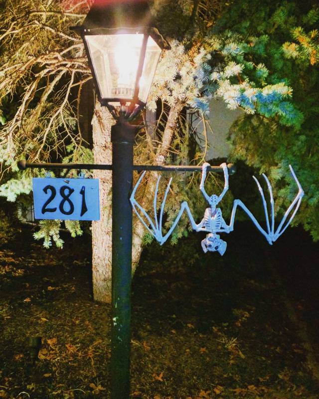 14659405_535290416669180_1845488004743823360_n