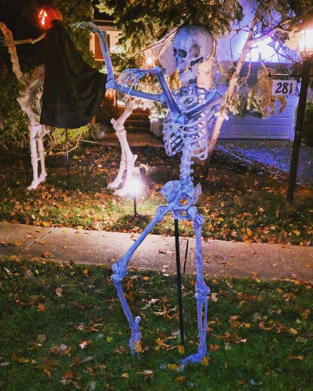 14709415_175469759574651_6589255520337526784_n