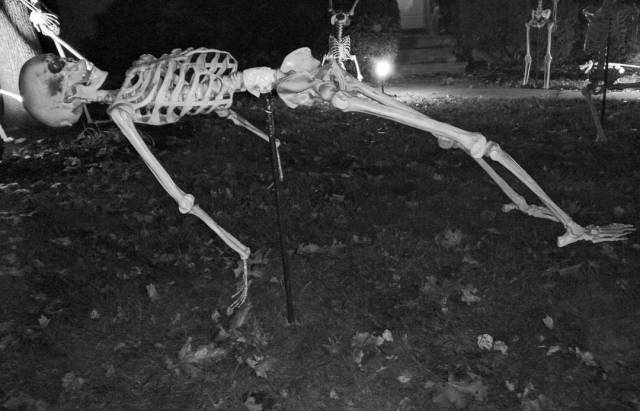 14712427_319532661743445_6177251797397143552_n