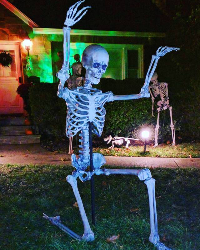 14736332_1141782779239314_6969683498416209920_n