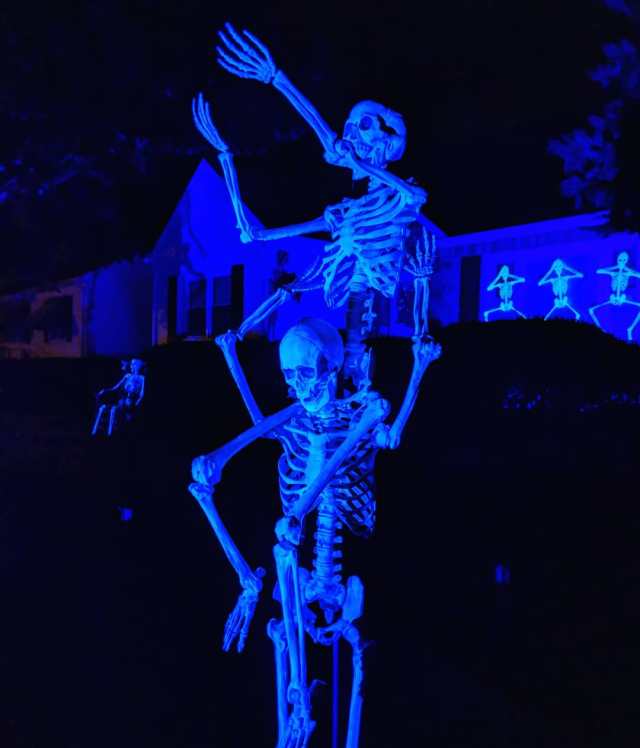 43778404_1262436013908635_1194865990414406660_n