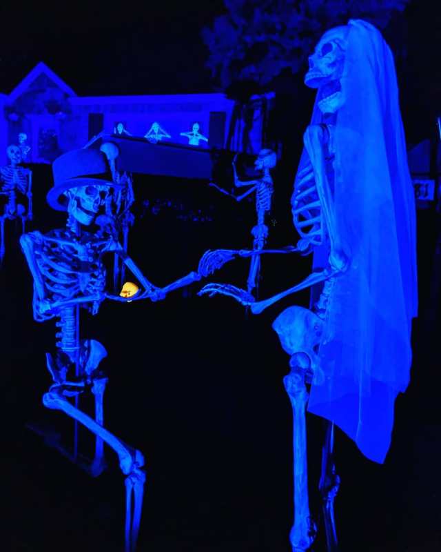 44245536_10217496429708539_1763547020942901248_o