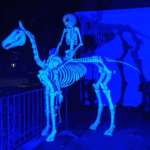 45020344_10217578721885792_2228864164338597888_o