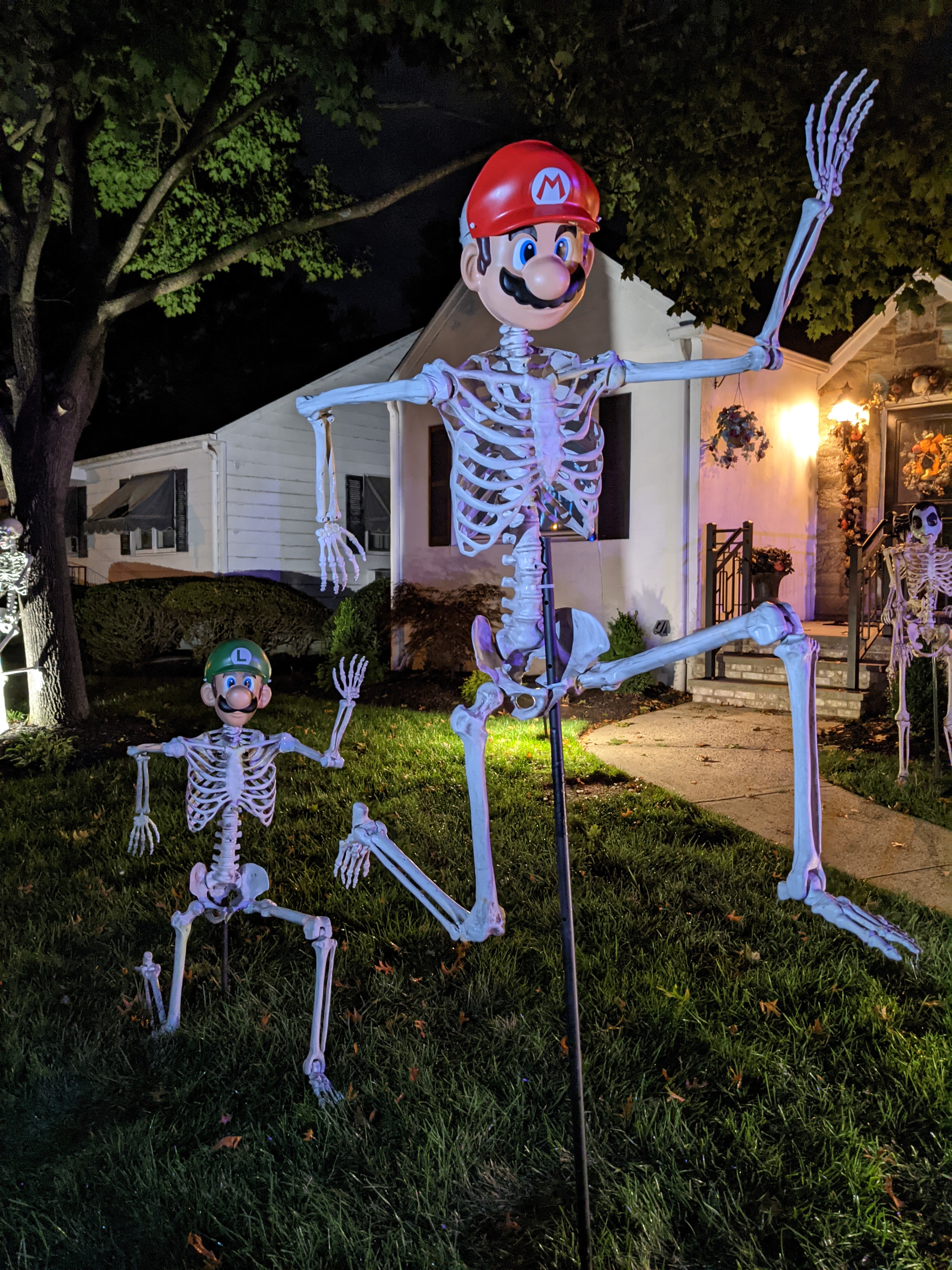 October 12th, 2021 – Le Grand Masquerade – Skeletons #11 & #12 – Mario ...
